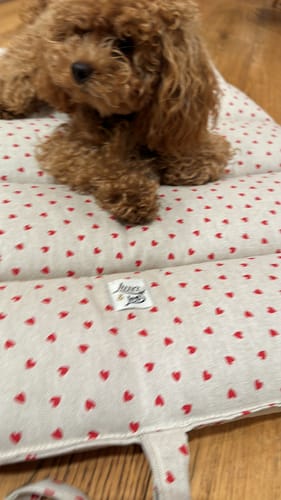 Customer photo review of Trapuntina Arrotolabile Cotone Panama Little Love Heart Red