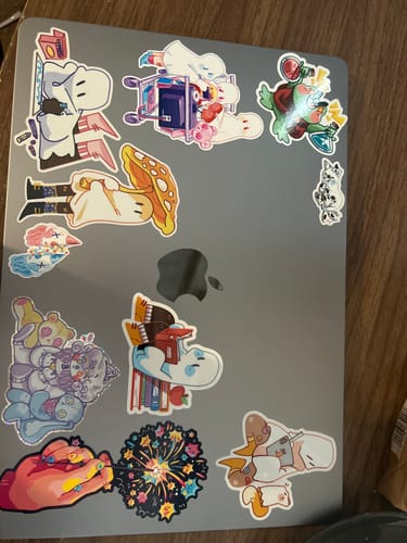 Customer photo review of Sticker Mystery Packs!