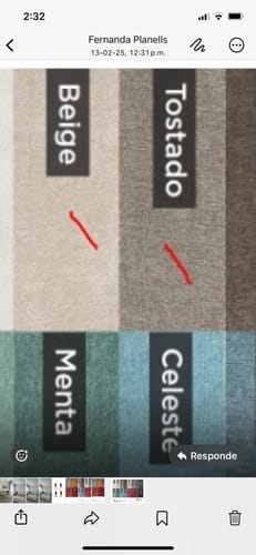 Customer photo review of Kit Alisado en Casa Premium + Peine Planchado y Set (Regalo)