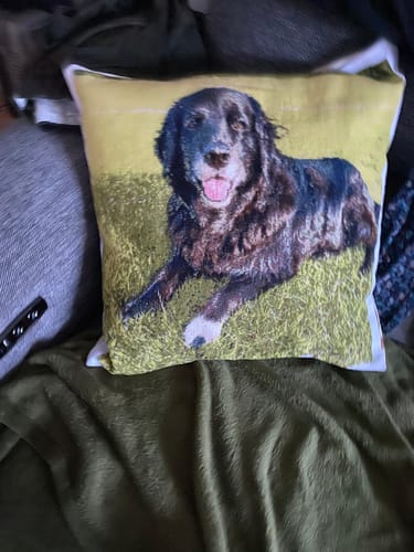 Customer photo review of Custom Cross Stitch Tapestry Kit | Just Upload Your Photo!