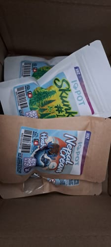 Customer photo review of HHZ Blüte - Skunk #1