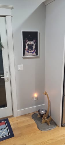 Customer photo review of Pet Art Canvas Wrap