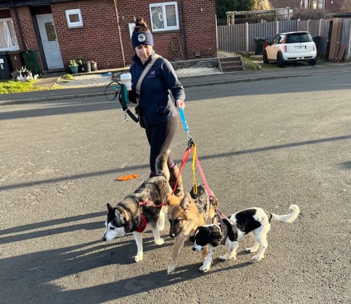 Customer photo review of Lead-All Pro