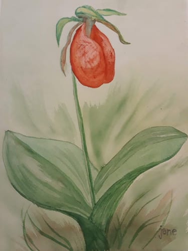 Customer photo review of 12x16 Giclee Fine Art Prints