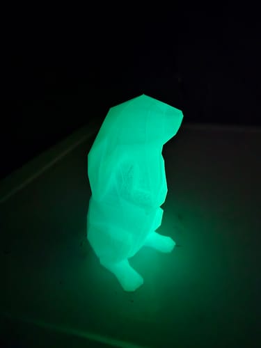 Customer photo review of Blue Glow PETG Filament 1.75mm