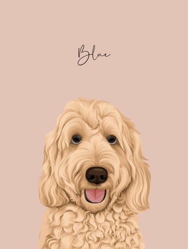 Customer photo review of Detailed Pet Portrait