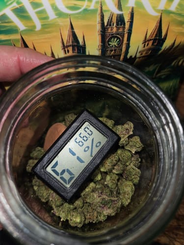 Customer photo review of AK-47 - Greenhouse THCA (Smalls)