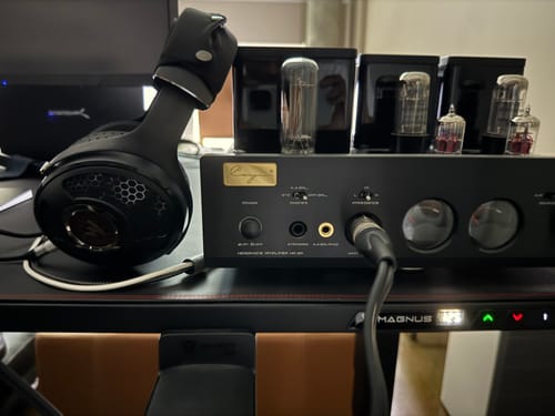 Devon C. review of Utopia 2022 image 1 out of 1