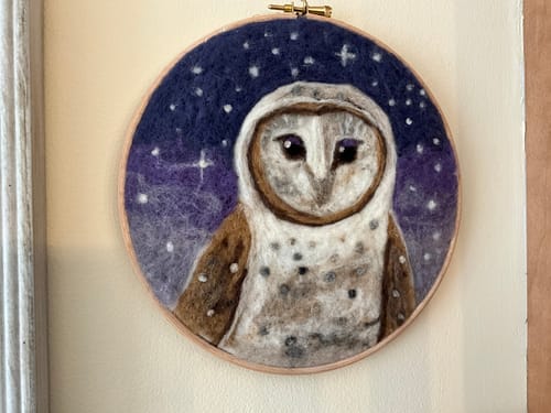 Customer photo review of Dani Ives' Barn Owl Needle Felting Kit