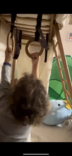 Customer photo review of Adventure Tent Gym