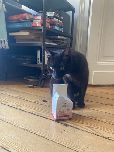 Avis photo d'un client sur Probiotiques Chat - Flore Digestive