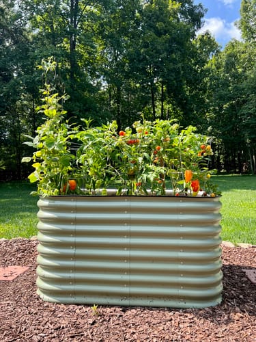 Customer photo review of 29” Tall Birdies Medium Modular Raised Garden Bed
