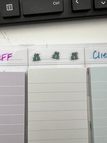 Customer photo review of Frog Stickers