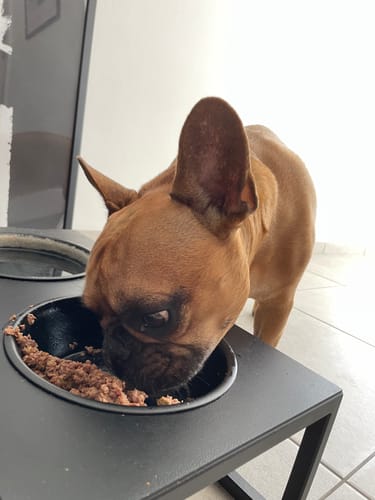 Customer photo review of Frischfutter für Energiebedarf von 626 kCal/Tag