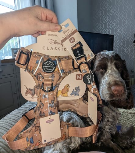 Karen review of Disney© Tough Trails™ Harness - Disney Dogs image 1 out of 1