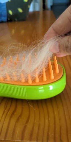 Customer photo review of Cat Steamy Brush – Grooming & Massage Tool for Pets