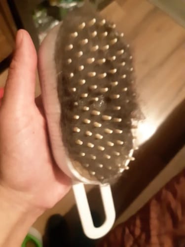 Customer photo review of Cat Steamy Brush – Grooming & Massage Tool for Pets