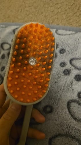 Customer photo review of Cat Steamy Brush – Grooming & Massage Tool for Pets