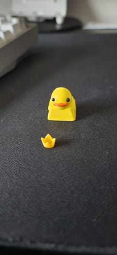 Customer photo review of Mystery Keycap - Costume Party