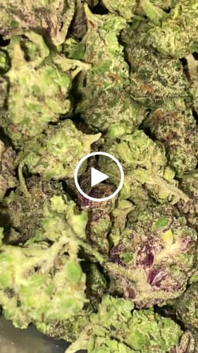 Customer video review of Ice Cream Cake - Indoor THCA (Smalls)