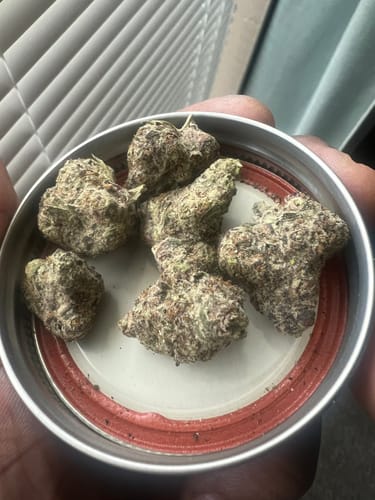 Customer photo review of Diamond Rain Runtz Greenhouse THCA