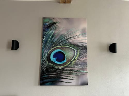 Customer photo review of Leinwandbild Feder eines Pfauen Hochformat