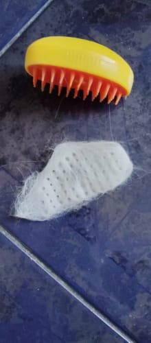Customer photo review of Cat Steamy Brush – Grooming & Massage Tool for Pets