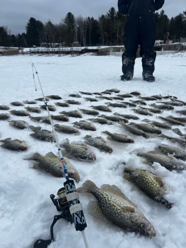 Customer photo review of Custom Power Noodle