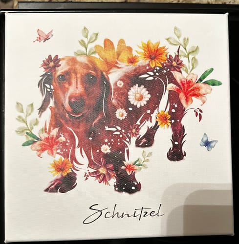 Customer photo review of Flowerpup Custom Pet Portrait