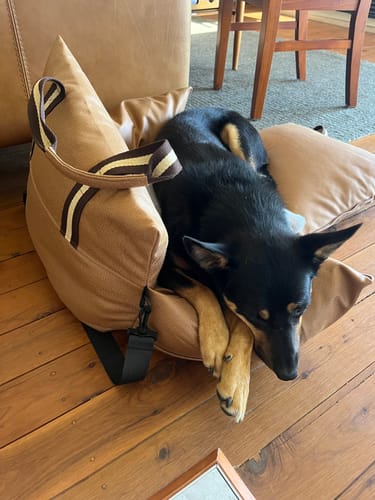 Customer photo review of Boujee Booster