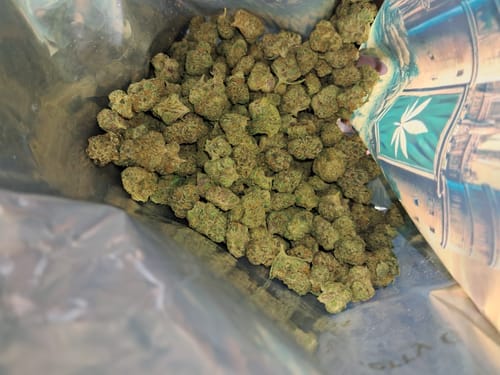 Customer photo review of Skywalker OG - Greenhouse THCA (Smalls)