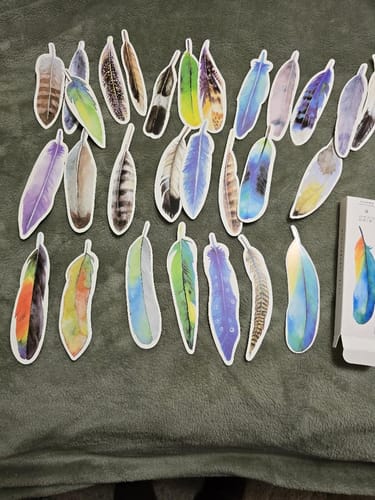 Customer photo review of Colorful Feather Bookmarks - Set of 30