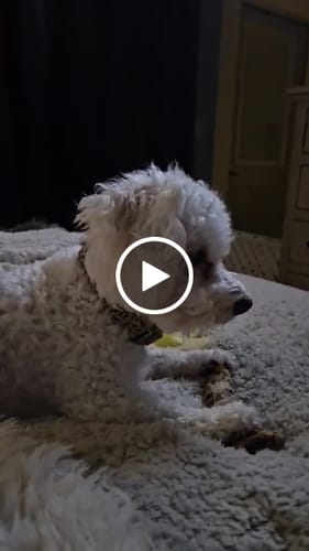 Customer video review of Mystery Gift