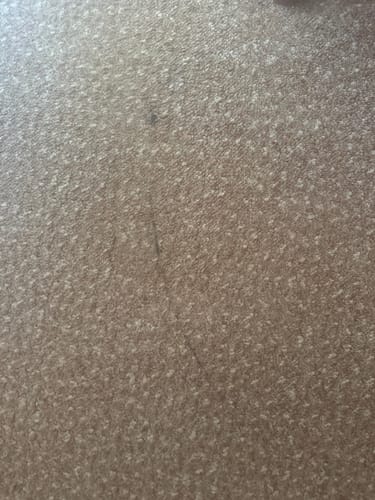 Customer photo review of SHYN Degreaser 2Litre