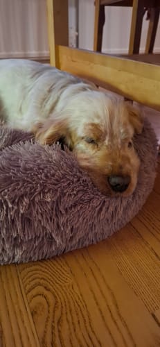 Customer photo review of CalmBed - Motverkar stress & hjälper mot ångest