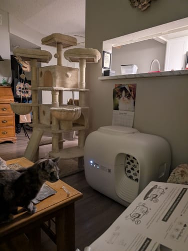 Customer photo review of Self-Cleaning Litter Box