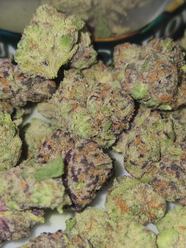 Customer photo review of Royal Influencer Package (7g Indoor Smalls, 7g GH Smalls, 7g Indoor Bigs, 7g GH Bigs)