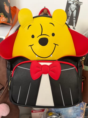 Customer photo review of Loungefly Mini Backpack Mystery Box