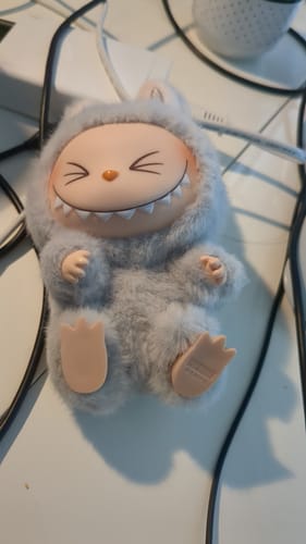 Customer photo review of POP MART The Monsters Have a Seat Series Plush Pendant Blind Box