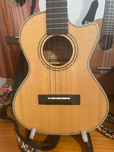 Customer photo review of BT-LG Worth Brown Tenor Low G Ukulele Strings TWO Restrings per Pack Fluorocarbon
