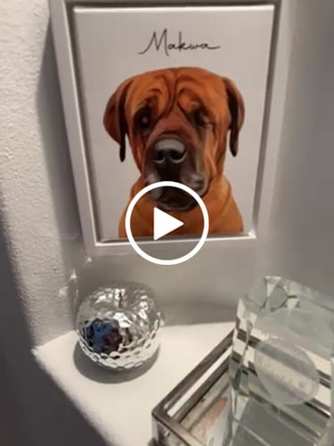 Customer video review of Pet Art Canvas Wrap