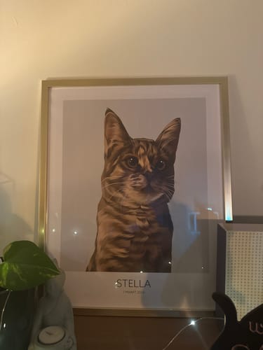 Customer photo review of Realistisch Portret