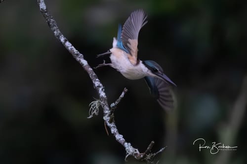 Customer photo review of Dramatic Atmosphere Lightroom Presets Pack