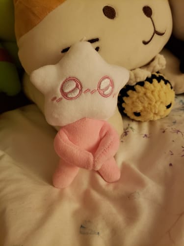Customer photo review of Adopt a Star Baby Plush Blind Box