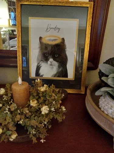 Customer photo review of Pet Portrait. Custom Pet Portrait, Pet Memorial, Pet Gift, New Pet Gift, Watercolor Pet Portrait, Digitally Mastered Digital effect (Size/Frame Color: 8"x10"/No Frame, Number of Pets: One Pet, Personalization: Bailey
(Add a Halo))