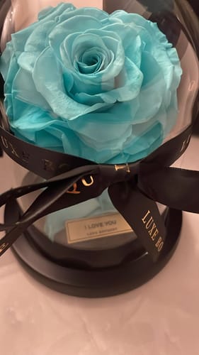 Customer photo review of Mini Everlasting Rose - Aqua Blue