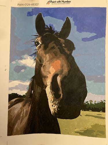 Customer photo review of Paint with Number® Custom Kit