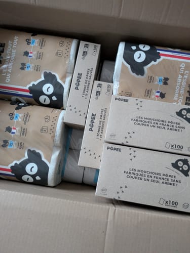 Avis photo d'un client sur BOÎTES DE MOUCHOIRS - Mouchoirs en papier adaptés aux Peaux Sensibles