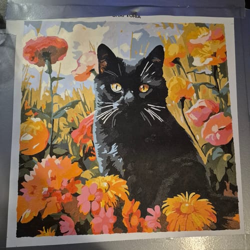 Customer photo review of Sunny Feline