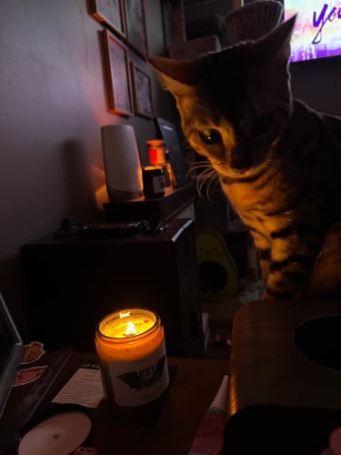 Customer photo review of Bat Boys Candle